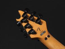 EVH Wolfgang Special Baked Maple Ebony Fingerboard ~Stealth Black~_9