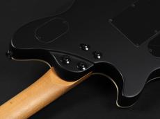 EVH Wolfgang Special Baked Maple Ebony Fingerboard ~Stealth Black~_11