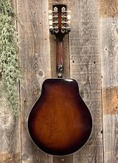 Dobro Model-15 Mandolin_5