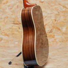 Gibson Songwriter Deluxe 12Strings 2009_5