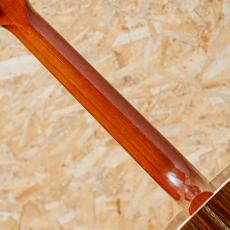 Gibson Songwriter Deluxe 12Strings 2009_7