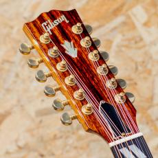 Gibson Songwriter Deluxe 12Strings 2009_8