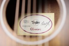 Taylor 【ES2搭載 / ハワイアン・コア 】GS Mini-e  Koa Plus_10