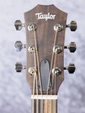 Taylor 【ES2搭載 / ハワイアン・コア 】GS Mini-e  Koa Plus_11