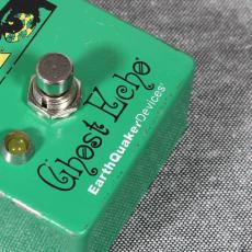 Earth Quaker Devices Brain Dead Ghost Echo_7