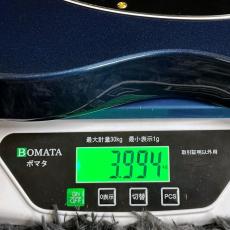Bacchus BTE-1-RSM/R-LX DLPB -Universe Series- 【特価】_11