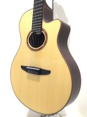 YAMAHA NTX5
