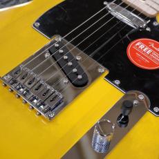 Squier Affinity Series Telecaster, Maple Fingerboard, Black Pickguard / Butterscotch Blonde_3