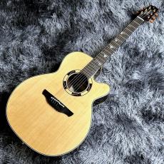 Takamine DSF48C -World Standard Series-_2