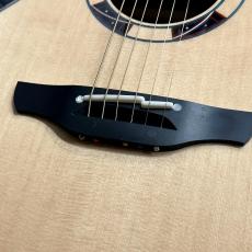 Takamine DSF48C -World Standard Series-_3