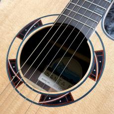 Takamine DSF48C -World Standard Series-_4