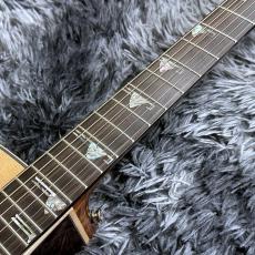 Takamine DSF48C -World Standard Series-_5