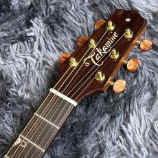 Takamine DSF48C -World Standard Series-_6