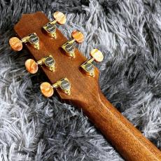 Takamine DSF48C -World Standard Series-_7