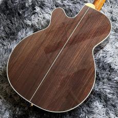 Takamine DSF48C -World Standard Series-_8