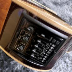 Takamine DSF48C -World Standard Series-_9