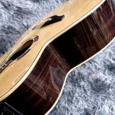Takamine DSF48C -World Standard Series-_10