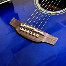 Takamine DMP552C DBS_3