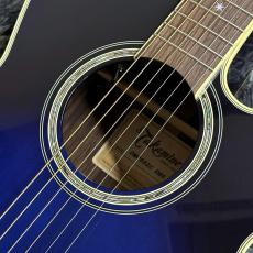 Takamine DMP552C DBS_4