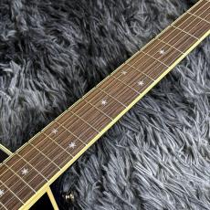 Takamine DMP552C DBS_5