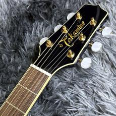 Takamine DMP552C DBS_6