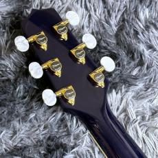Takamine DMP552C DBS_7