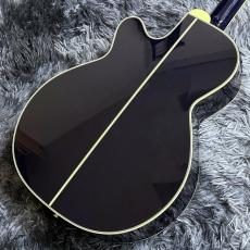 Takamine DMP552C DBS_8