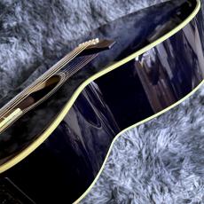Takamine DMP552C DBS_10
