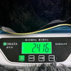 Takamine DMP552C DBS_11