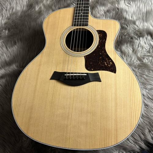 Taylor 214ce Walnut【現物画像】