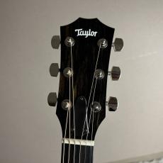 Taylor 214ce Walnut【現物画像】_6
