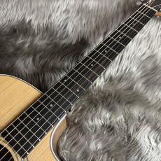 Taylor 214ce Walnut【現物画像】_8