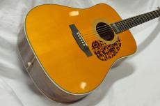 ARIA Dreadnought AD-ANNIV AN