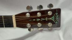 ARIA Dreadnought AD-ANNIV AN_6