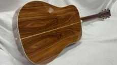 ARIA Dreadnought AD-ANNIV AN_7