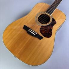 James J500D