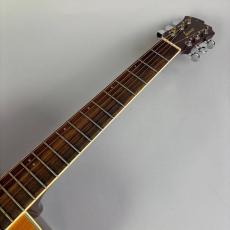 James J500D_3