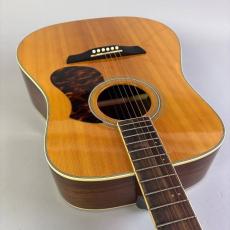 James J500D_9