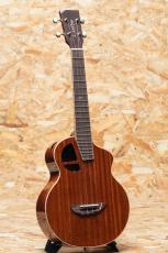 L.Luthier Le Maho w/EQ Tenor_3