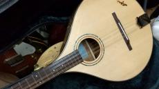 K.Yairi Boy2　【 Irish Bouzouki 】　マイク搭載　アンプに繋げる　PICKUP付 【 Kヤイリ　アイリッシュ・ブズーキ BOY-2　PU搭載 】_2