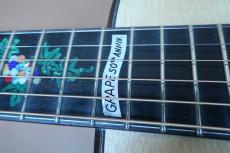 Terry's Terry Premium Terry PTJ-100 MS GRAPE 50th Anniversary Model / Grape Inlay・Spruce Top・Indian Honduras Rosewood Side and Back・Mahogany 1P Neck・Tortoise Color Pick guard・With Fishman Ellipse Matrix Blend _9