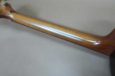 Terry's Terry Premium Terry PTJ-100 MS GRAPE 50th Anniversary Model / Grape Inlay・Spruce Top・Indian Honduras Rosewood Side and Back・Mahogany 1P Neck・Tortoise Color Pick guard・With Fishman Ellipse Matrix Blend _11