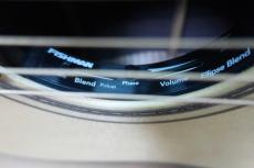 Terry's Terry Premium Terry PTJ-100 MS GRAPE 50th Anniversary Model / Grape Inlay・Spruce Top・Indian Honduras Rosewood Side and Back・Mahogany 1P Neck・Tortoise Color Pick guard・With Fishman Ellipse Matrix Blend _14