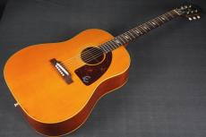 Epiphone Limited Edition  USA Paul McCartney 1964 FT-79 Texan_10