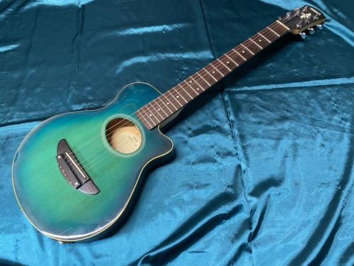 YAMAHA APXT-IA