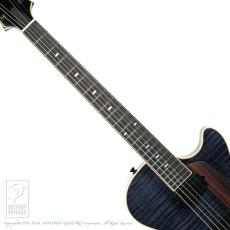 Kikuchi Guitars MF15L 2HB (Trans Black)_5