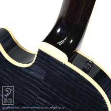 Kikuchi Guitars MF15L 2HB (Trans Black)_13