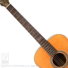 Maton Custom Shop TE Personal_5