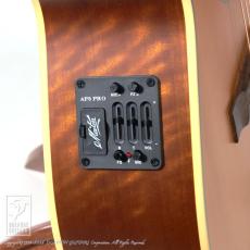 Maton Custom Shop TE Personal_10