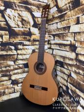 Paco Castillo パコ・カスティージョ 203C 杉・ローズウッド【日本総本店2F在庫品】